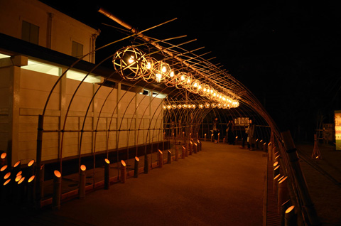 竹トンネル