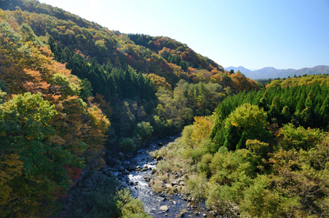 吊橋南の景色