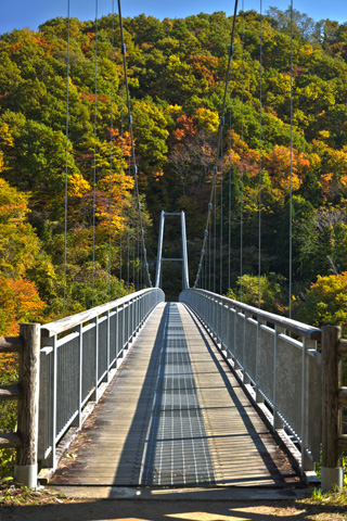 紅葉に向かう吊橋