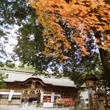 大崎八幡宮の紅葉