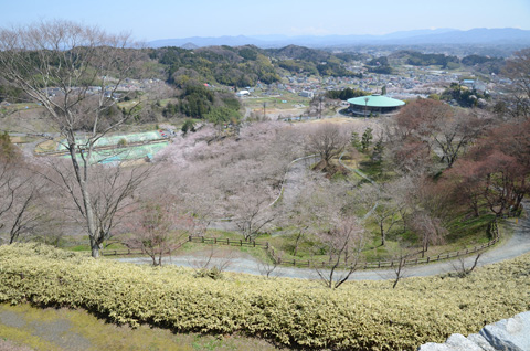 北東のスポーツエリア