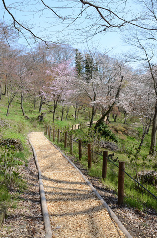 公園内のウッドチップロード