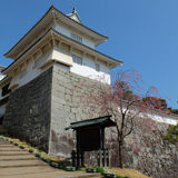 霞ヶ城公園さくらまつり